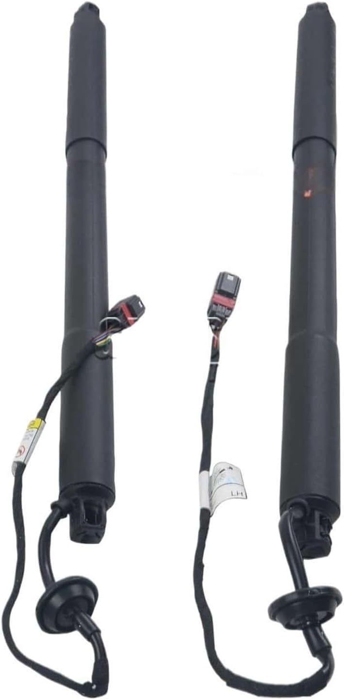 ハンマーヘッド　ボーダー　DC ハンマーヘッド BORDER（ボーダー） DC KOZトメンシス : KOZs